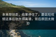 本来想划走，结果停住了，蘑菇短视频这事后劲大得离谱，背后原因太微妙