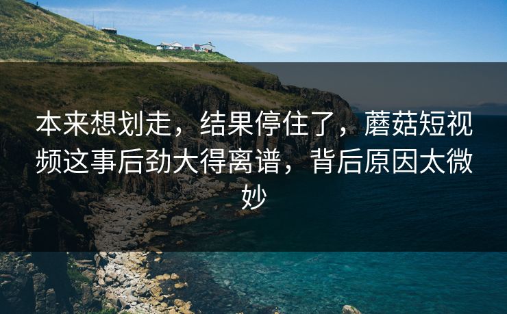 本来想划走，结果停住了，蘑菇短视频这事后劲大得离谱，背后原因太微妙