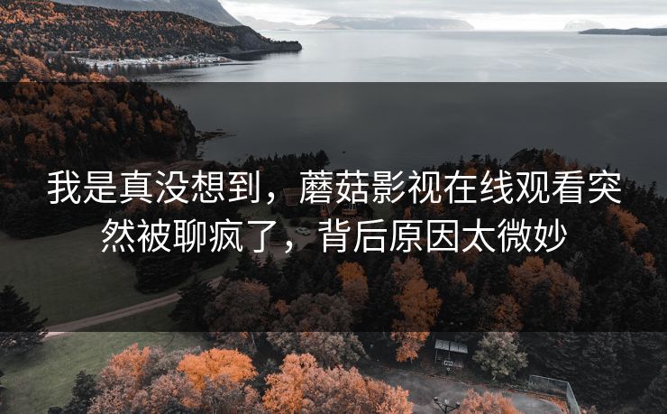 我是真没想到,蘑菇影视在线观看突然被聊疯了,背后原因太微妙 我是真没想到,蘑菇影视在线观看突然被聊疯了,背后原因太微妙