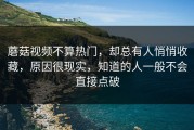 蘑菇视频不算热门，却总有人悄悄收藏，原因很现实，知道的人一般不会直接点破