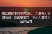 蘑菇视频下载不算热门，却总有人悄悄收藏，原因很现实，不少人看完才后知后觉