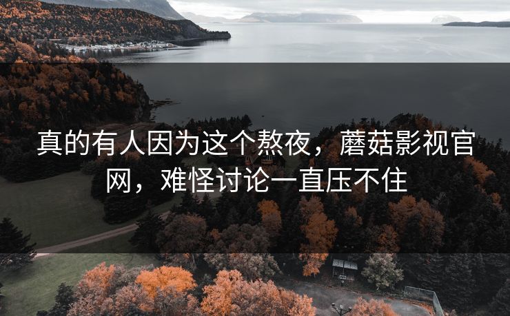真的有人因为这个熬夜，蘑菇影视官网，难怪讨论一直压不住