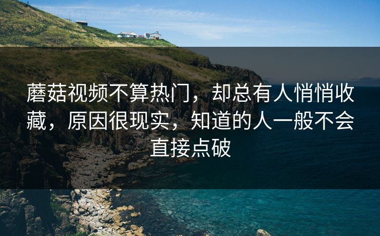 蘑菇视频不算热门，却总有人悄悄收藏，原因很现实，知道的人一般不会直接点破