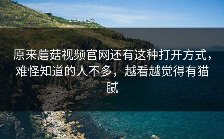 原来蘑菇视频官网还有这种打开方式，难怪知道的人不多，越看越觉得有猫腻