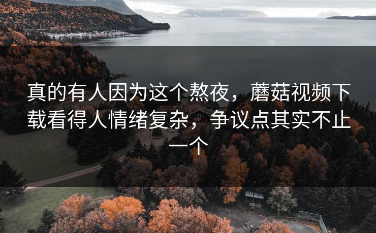 真的有人因为这个熬夜，蘑菇视频下载看得人情绪复杂，争议点其实不止一个