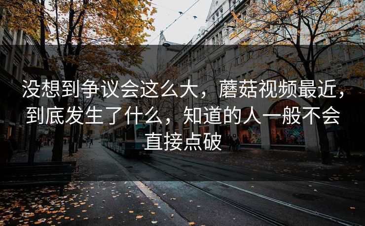没想到争议会这么大，蘑菇视频最近，到底发生了什么，知道的人一般不会直接点破