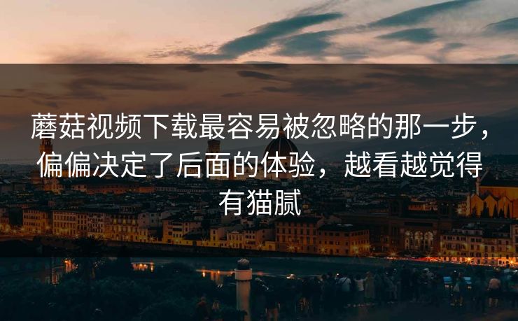 蘑菇视频下载最容易被忽略的那一步，偏偏决定了后面的体验，越看越觉得有猫腻