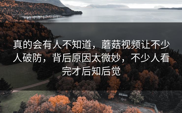 真的会有人不知道,蘑菇视频让不少人破防,背后原因太微妙,不少人看完才后知后觉 真的会有人不知道,蘑菇视频让不少人破防,背后原因太微妙,不少人看完才后知后觉