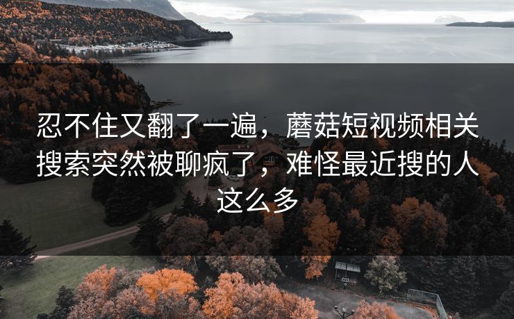 忍不住又翻了一遍，蘑菇短视频相关搜索突然被聊疯了，难怪最近搜的人这么多