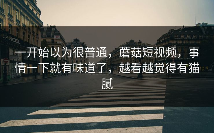 一开始以为很普通，蘑菇短视频，事情一下就有味道了，越看越觉得有猫腻