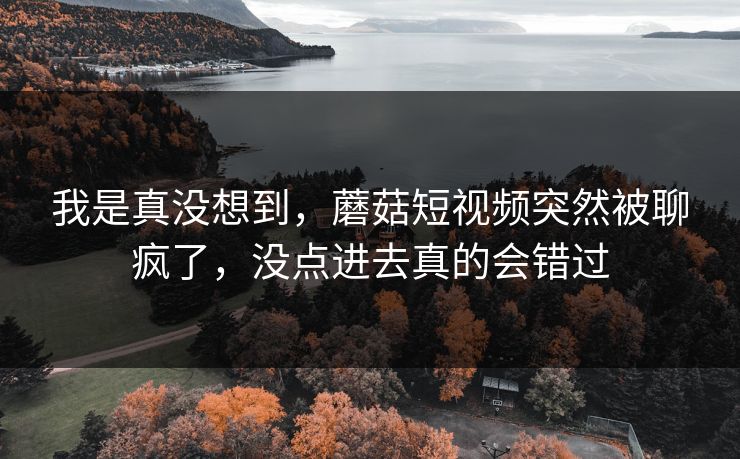 我是真没想到,蘑菇短视频突然被聊疯了,没点进去真的会错过 我是真没想到,蘑菇短视频突然被聊疯了,没点进去真的会错过