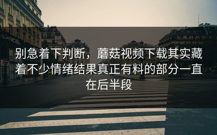 别急着下判断，蘑菇视频下载其实藏着不少情绪结果真正有料的部分一直在后半段